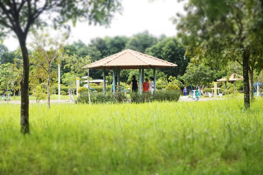 cong-vien-van-hoa-go-vap-6.jpg