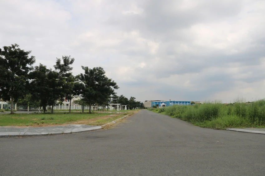 vanh-dai-2-40.jpg