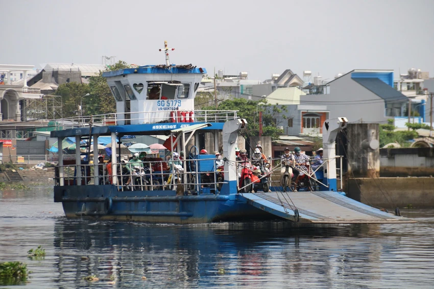 cay-cau-yeu-1.jpg