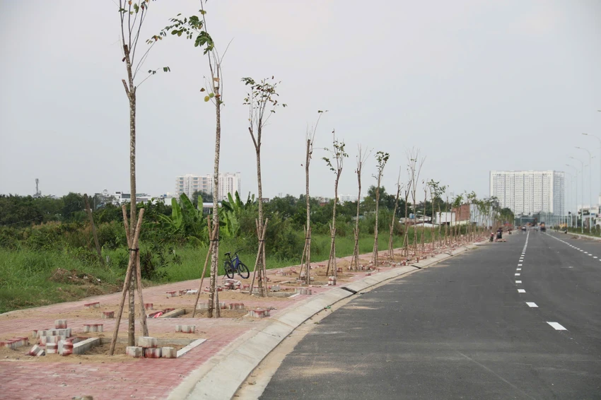 quoc-lo-50-98.jpg