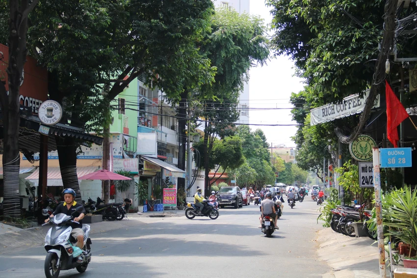 pho-ca-phe-xanh-1.jpg
