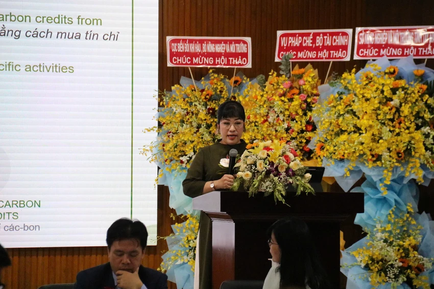 thi-truong-carbon.jpg