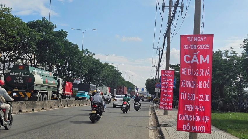 đường đỗ mười