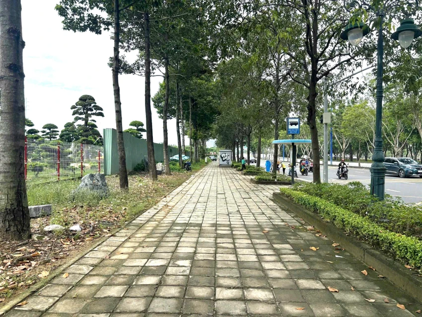lan-duong-rieng-cho-xe-dap-1.jpg