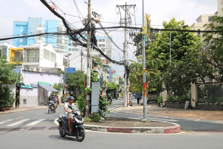 lan-re-phai-5.jpg