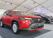Ô tô giá từ 400 triệu đồng nhập khẩu về VN tăng mạnh 