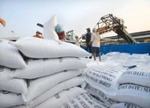 Bộ Công Thương kiến nghị chưa tạm dừng xuất khẩu gạo