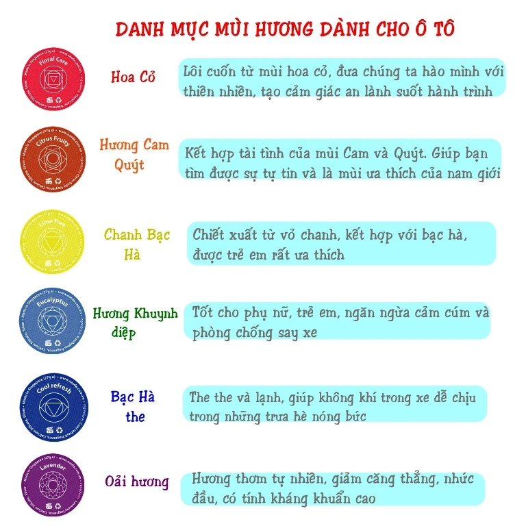 Quả cầu Energy: Lên xe vui khỏe, xuống xe nhẹ nhàng ảnh 5 Quả cầu Energy: Lên xe vui khỏe, xuống xe nhẹ nhàng ảnh 5