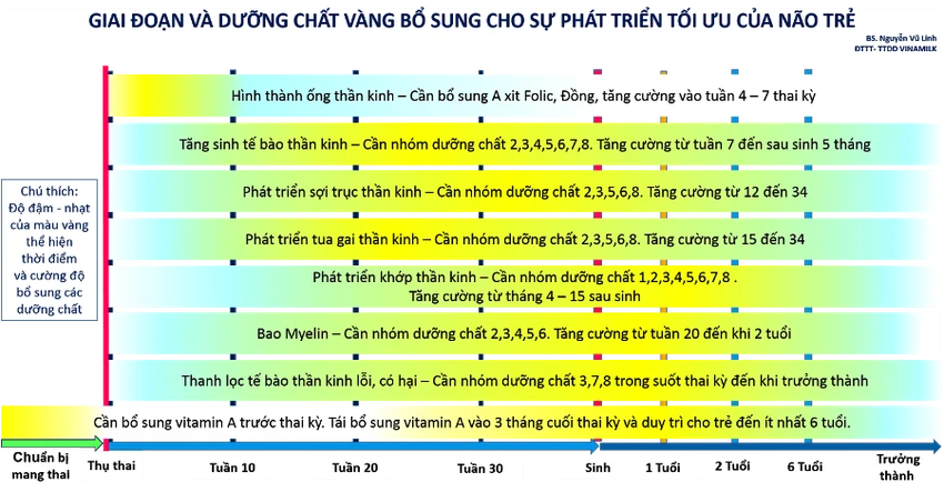“Dinh dưỡng vàng - Thời gian vàng” cho não bộ của trẻ ảnh 1