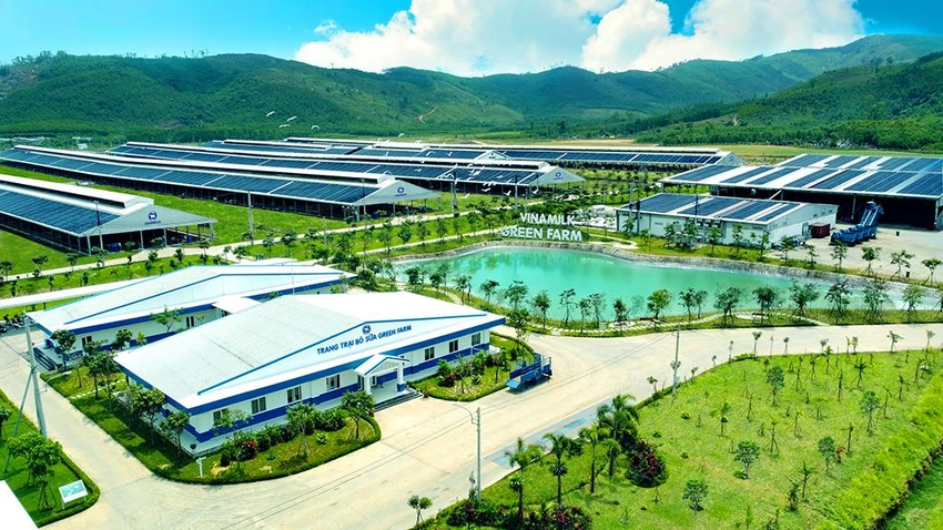 Trang trại tại Quảng Ngãi là 1 trong 3 trang trại thuộc hệ thống trang trại sinh thái Green farm của Vinamilk Trang trại tại Quảng Ngãi là 1 trong 3 trang trại thuộc hệ thống trang trại sinh thái Green farm của Vinamilk