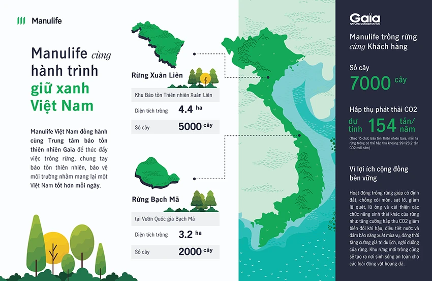 Manulife cùng hành trình giữ mãi màu xanh Việt Nam Manulife cùng hành trình giữ mãi màu xanh Việt Nam