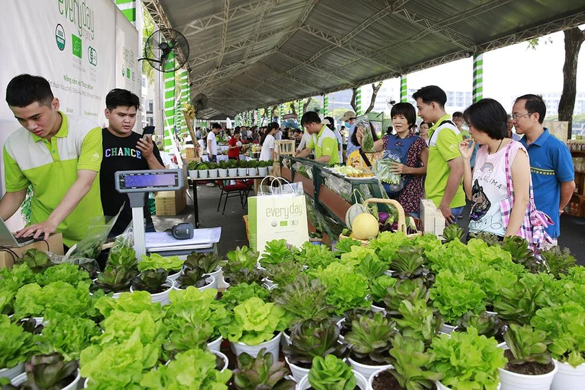 Mô hình trồng rau sạch được giới thiệu tại Ngày hội Xanh Phú Mỹ Hưng năm 2019 Mô hình trồng rau sạch được giới thiệu tại Ngày hội Xanh Phú Mỹ Hưng năm 2019