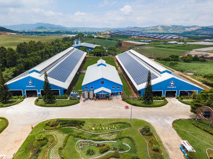 Năng lượng mặt trời đã được đưa vào sử dụng tại Trang trại bò sữa Organic Đà Lạt từ năm 2017 đến nay Năng lượng mặt trời đã được đưa vào sử dụng tại Trang trại bò sữa Organic Đà Lạt từ năm 2017 đến nay