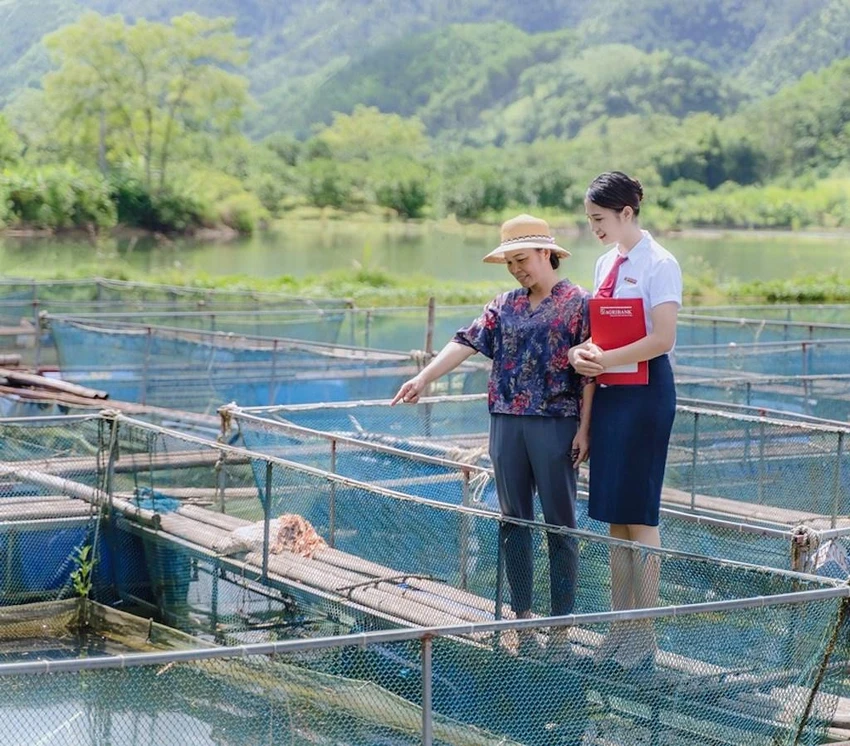 Agribank triển khai chương trình tín dụng ưu đãi phục vụ “Nông nghiệp sạch” từ năm 2016. Agribank triển khai chương trình tín dụng ưu đãi phục vụ “Nông nghiệp sạch” từ năm 2016.