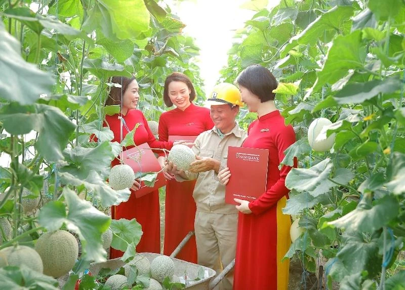 Agribank triển khai nhiều chương trình, hoạt động “Vì tương lai xanh” tại 28 tỉnh/thành phố ven biển Agribank triển khai nhiều chương trình, hoạt động “Vì tương lai xanh” tại 28 tỉnh/thành phố ven biển