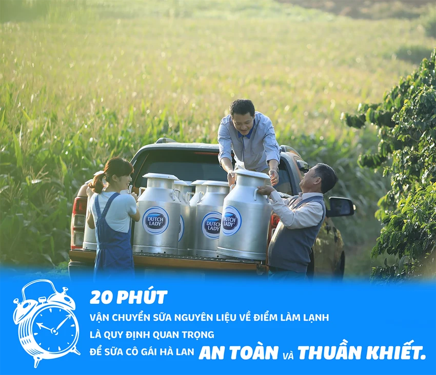 Sau 20 phút vận chuyển sữa nguyên liệu về điểm làm lạnh là quy định quan trọng để sữa Cô Gái Hà Lan an toàn, thuần khiết. Sau 20 phút vận chuyển sữa nguyên liệu về điểm làm lạnh là quy định quan trọng để sữa Cô Gái Hà Lan an toàn, thuần khiết.