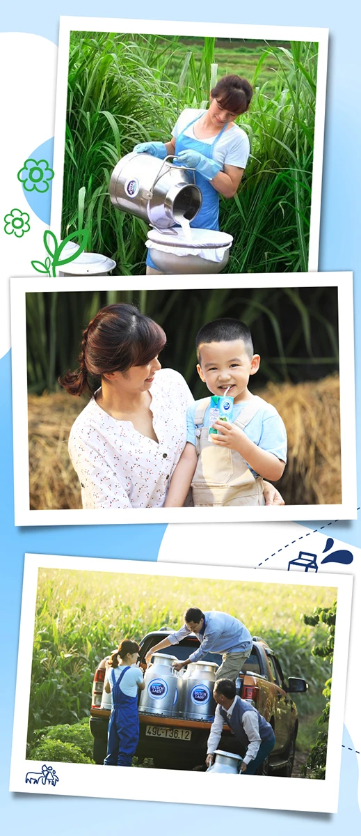 Quy trình khép kín từ đồng cỏ đến ly sữa của FCV. Quy trình khép kín từ đồng cỏ đến ly sữa của FCV.