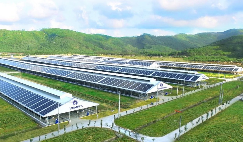 Các trang trại Vinamilk sử dụng năng lượng mặt trời, hệ thống biogas… Các trang trại Vinamilk sử dụng năng lượng mặt trời, hệ thống biogas…