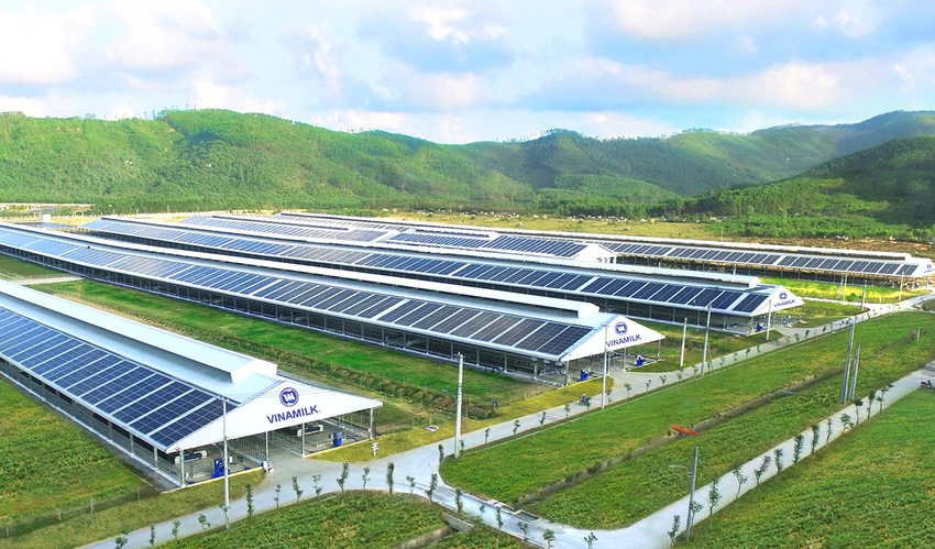 Vinamilk được đánh giá là điển hình về năng lực tài chính vững vàng, ổn định. Vinamilk được đánh giá là điển hình về năng lực tài chính vững vàng, ổn định.