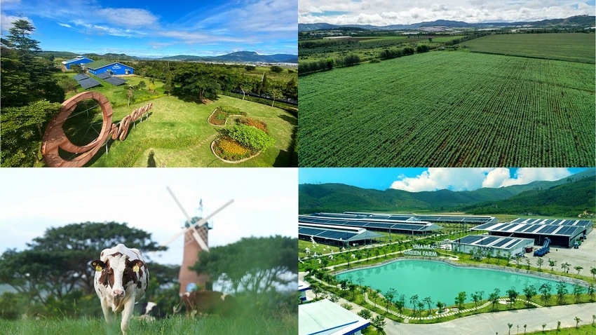 Nhiều giải pháp giúp giảm phát thải khí nhà kính được Vinamilk ứng dụng tại các trang trại. Nhiều giải pháp giúp giảm phát thải khí nhà kính được Vinamilk ứng dụng tại các trang trại.