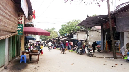 Hai chị em lấy chung một chồng