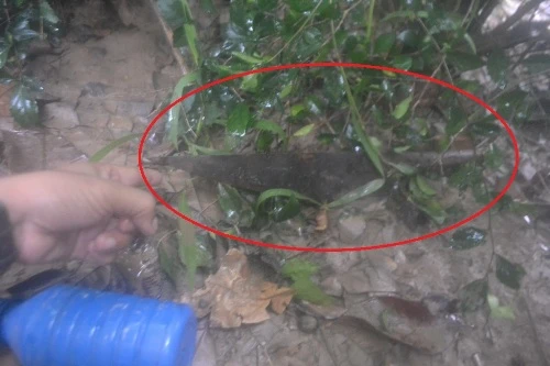 Bóc lịch 20 năm vì cái đèn pin ảnh 1 Con dao phay Long dùng đâm chết ông Hải