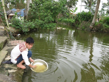 Những phạm nhân nguy hiểm ấy thực chất là những cậu bé hiền lành, chăm lao động.