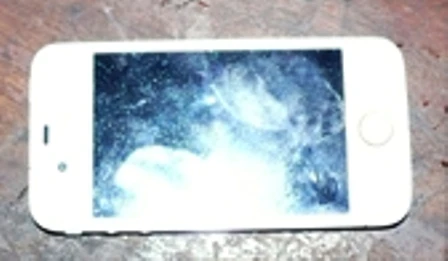 Tang vật vụ án
