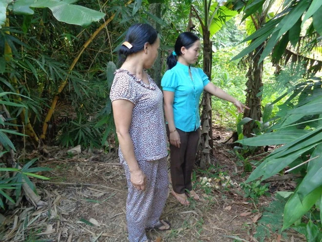 Bé gái sơ sinh bị bỏ rơi ở bụi tre, trên người bám đầy dòi
