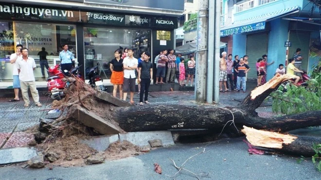 Những cái chết bất thình lình trên đường phố