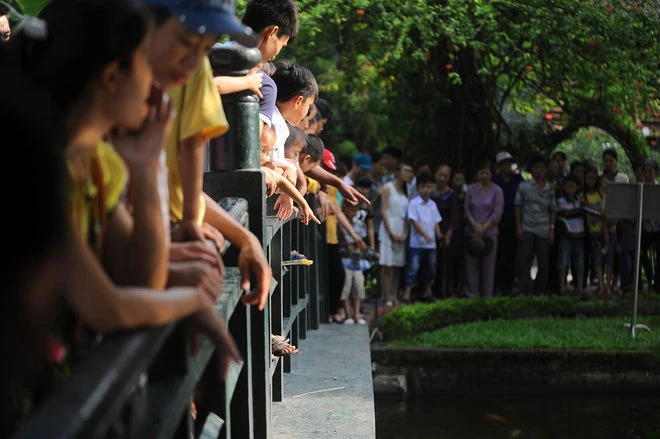 Ngày Độc lập, vào Lăng viếng Chủ tịch Hồ Chí Minh ảnh 8