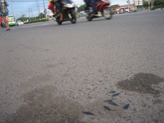 Nhiều người bị thủng ruột xe vì những mảnh sắt nhọn này