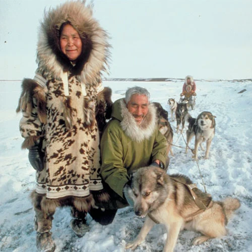 Người Eskimo được biết đến là những người thân thiện và chịu lạnh giỏi nhất thế giới. 1-6985-1410768210.jpg