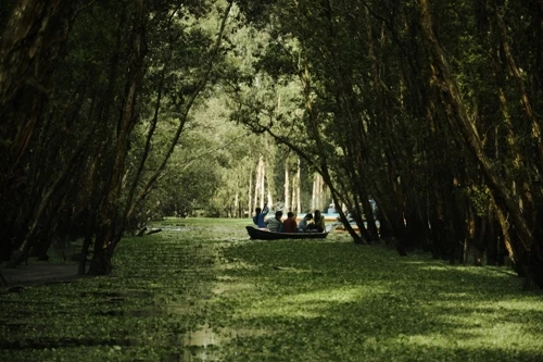 Trải nghiệm ở rừng tràm Trà Sư. 1-JPG-8884-1411631350.jpg