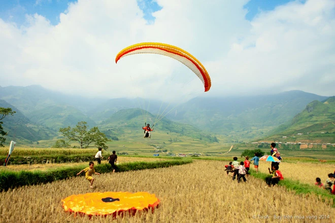 Vẻ đẹp mùa vàng Mù Cang Chải từ dù lượn ảnh 10