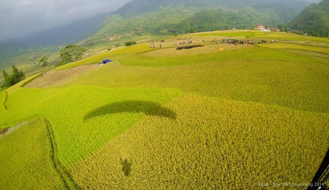Vẻ đẹp mùa vàng Mù Cang Chải từ dù lượn ảnh 9