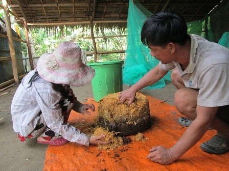 Anh Phúc vừa hạ một cây dừa &nbsp;vì đã bị héo đọt do đuông tấn công