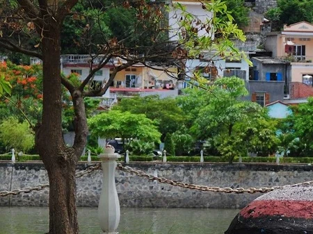 Hình ảnh Việt Nam đẹp bình dị qua ống kính du khách nước ngoài ảnh 26 Những mái nhà san sát ở đảo Cát Bà.