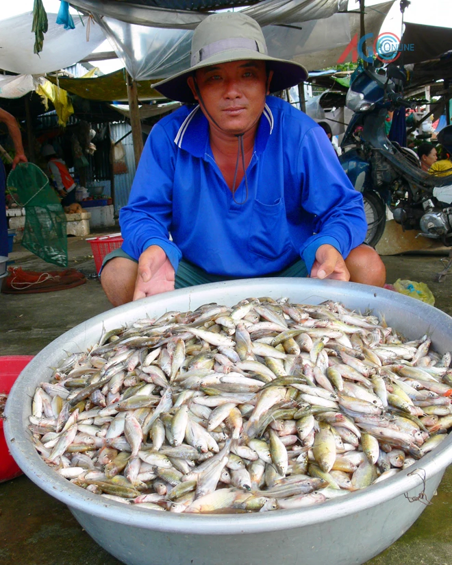 Mùa cá chạy ảnh 1 Mùa cá chạy ảnh 1