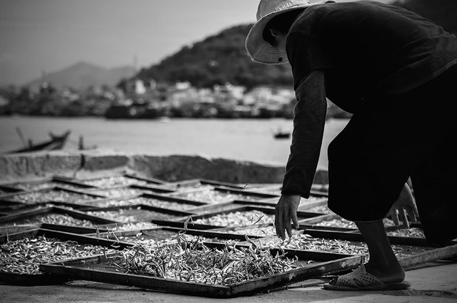 Việt Nam trong bộ ảnh ẩm thực đẹp nhất thế giới ảnh 3