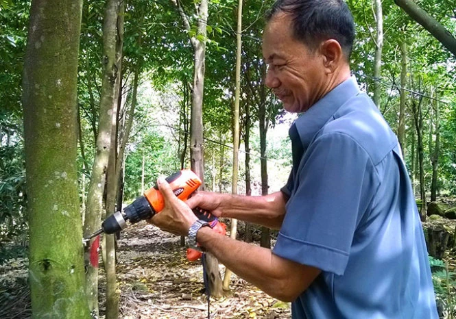Khoan vào thân cây dó, sau đó bơm chất kích thích vào - Ảnh: T.Huy Khoan vào thân cây dó, sau đó bơm chất kích thích vào - Ảnh: T.Huy