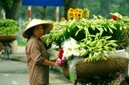 Gánh hoa loa kèn xuất hiện khắp phố khi tháng 4 về