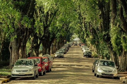 Năm 2008, một nhà sinh vật học người Bồ Đào Nha trông thấy những bức ảnh về Rua Gonçalo de Carvalho và ngay sau đó viết lời khen ngợi trên blog của ông rằng đây là "con đường đẹp nhất trên thế giới". Biệt danh này gắn liền với Gonçalo de Carvalho kể từ đó. 2-3306-1418271798.jpg