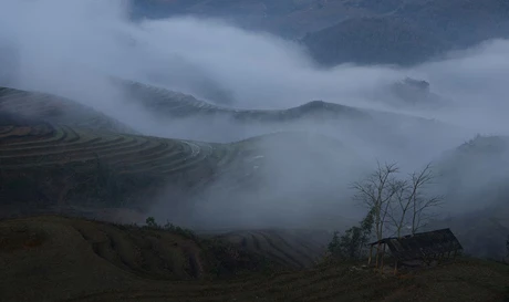 Ruộng bậc thang trong sương mù.