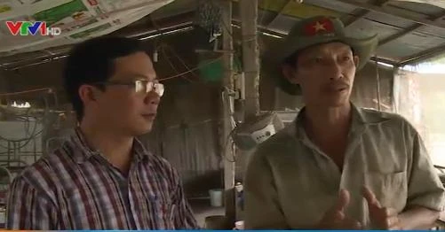 cho heo nghe nhạc cho heo nghe nhạc