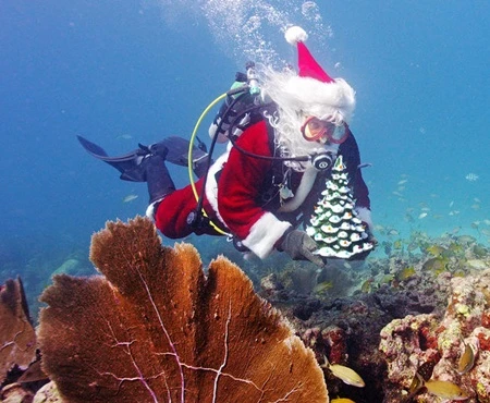 Ông già Noel mang không khí Giáng sinh tới các sinh vật dưới nước