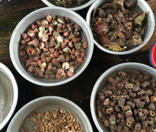 Vịnh Vĩnh Hy có rất nhiều loại hải sản tươi ngon, chế biến xong đem ra biển ăn thật sự rất ngon. 10922258-577911369019603-1917457744-n_14