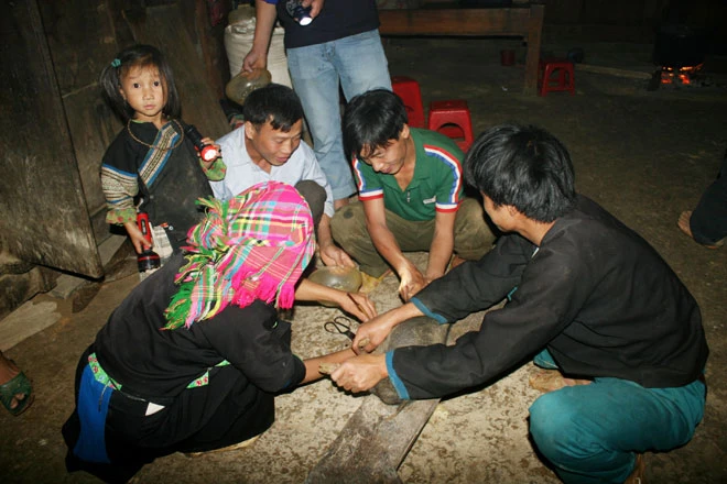 Gia đình trưởng bản mổ lợn đãi khách.