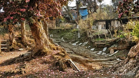 Nhiếp ảnh gia đến Việt Nam du lịch để vượt qua trầm cảm ảnh 13 Vùng núi Annapurna, Nepal