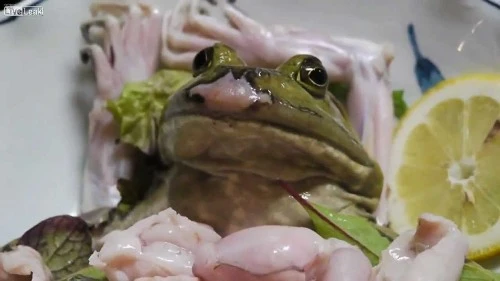 Sashimi ếch sống VÌ không phải là một món ăn điển hình nên sashimi ếch sống chỉ có ở một số ít nhà hàng của Nhật. Đầu bếp sẽ sơ chế ếch ngay trên bàn ăn và chuyển cho thực khách thưởng thức khi những chiếc chân ếch vẫn còn giãy giụa. Món này ăn cùng với nước chấm, các phần còn lại là xương, chân và đầu, nhà bếp sẽ dùng để nấu một bát súp khác cho bạn. 12-9959-1425521759.jpg